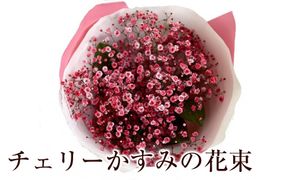 チェリーかすみの花束 かすみ草 カスミソウ 花束 花 誕生日 成人式 卒業祝い 初節句 ひな祭り バレンタイン お返し 結婚 ウエディング 送別 祝い プレゼント 結婚祝い お礼 花束 赤いかすみ草 チェリー レッド 生花ドライフラワーにも 送料無料 お母さん 記念日 272230_BG110