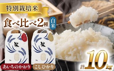 令和6年産　愛知県産　コシヒカリ・あいちのかおり　白米　各5kg　特別栽培米　精米　ご飯　愛西市／戸典オペレーター　[AECT005]