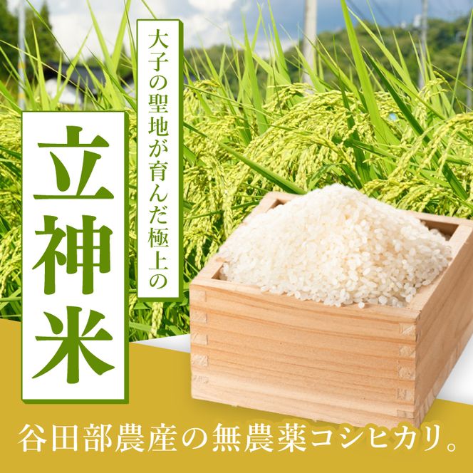 【3ヶ月定期便】【無農薬米日本一コンテスト2年連続金賞】立神米 無農薬 こしひかり（白米）定期便 5kg 3回お届け【谷田部農産】｜茨城県 大子町 コシヒカリ 米 無農薬 コンテスト 受賞 生産者 大子産米 産地直送 令和7年産（BT083）