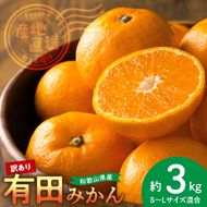 【2026年先行予約】【産地直送】和歌山県産 有田みかん 3kg サイズ混合 【訳あり】_BL6171