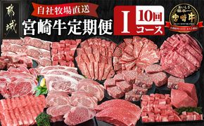 宮崎牛定期便(10回お届け) Iコース_N25-009-T10 宮崎牛 ウデ モモ リブロース ロース サーロイン バラ カルビ 肩ロース イチボ 友三角 ロース スライス ステーキ サイコロ ブロック 焼肉