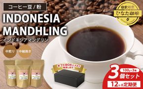 【12カ月定期便】コーヒー 豆 粉（インドネシア マンデリン 中煎り 中細挽き）100g × 3個セット | ミディアムロースト ギフトBOX付き コーヒー 珈琲 自家焙煎 ひなた珈琲 幸田町 送料無料