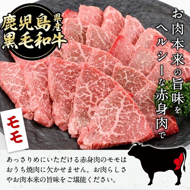 【焼肉3種！食べ比べセット】鹿児島県産黒毛和牛 モモ・肩ロース・ウデの焼肉3種セット＜計600g＞ a6-048