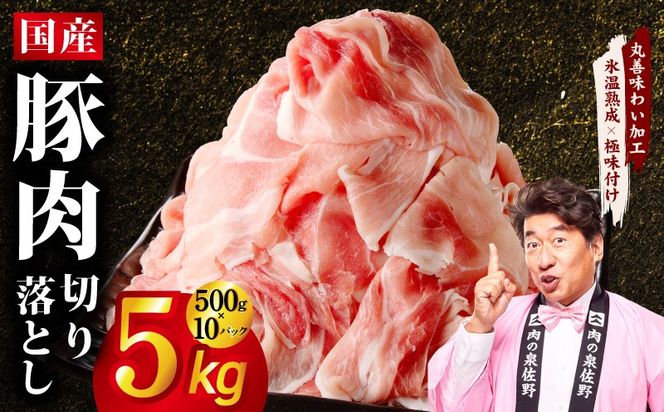 mrz0512 【期間限定】国産 豚肉 切り落とし 5kg【スピード発送 氷温熟成×極味付け 500g×10P ぶたにく 普段使い 野菜炒め 訳あり サイズ不揃い】