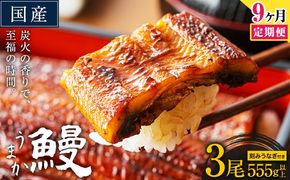 【9ヶ月定期】うなぎ 国産 鰻 特上サイズ 3尾 合計555g (刻みうなぎ30g×2袋含む) うまか鰻 《申込み翌月から発送》 九州産 たれ さんしょう 付き ウナギ 鰻 unagi 蒲焼 うなぎの蒲焼 惣菜 ひつまぶし きざみうなぎ 特大サイズ 訳あり 定期便 蒲焼き ふるさとのうぜい---mf_fsktei_24_155000_mo9num1_3p---