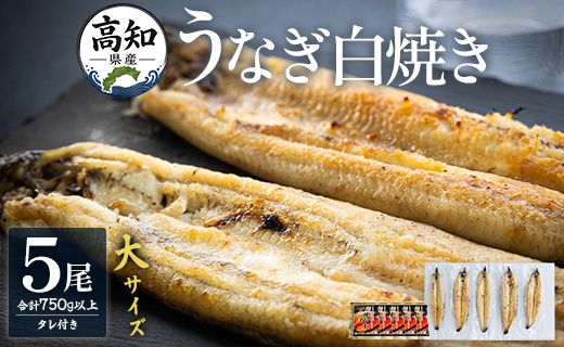 うなぎ 白焼き 吉川水産 高知県産うなぎの白焼き 大サイズ(150～180g)×5尾 - タレ付き 鰻 ウナギ 国産 yw-0124