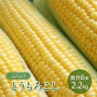 【2026年夏発送】ふらの とうもろこし 黄色 6本 2.2kg 北海道 富良野市 野菜 コーン とうきび イエロー 新鮮 直送 道産 ふらの 送料無料 数量限定 先着順