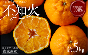 ＼光センサー選別／【農家直送】先行予約 こだわりのデコポン不知火 約5kg 有機質肥料100%　※2026年2月中旬より順次発送予定（お届け日指定不可） みかん 柑橘類【nuk111C】