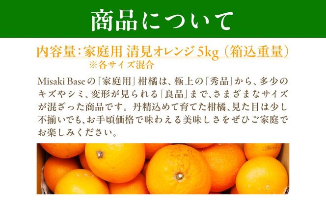 【先行受付】【家庭用】清見オレンジ 5kg ※離島への配送不可 （2026年3月中旬より順次発送） IKTAB007 