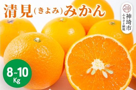 yꌧ_szy2026N3{蔭Jnz()݂ 8kg`10kgy݂ IW k t[c fU[gz(H116139)