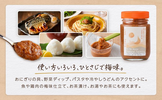 ひとみずの練り梅 200g 自然栽培で育てた紀州南高梅使用 ※栽培期間中、農薬・肥料・堆肥不使用 304018_EW05