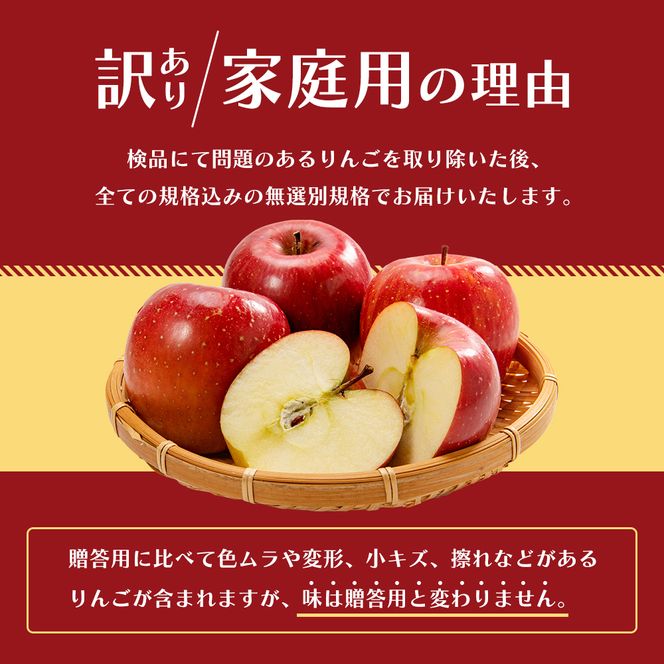 2月発送 家庭用 サンふじ 約5kg【訳あり】【原正りんご 青森県産 津軽産 リンゴ 林檎】 果物類 希少 葉取らず 完熟 安心 丸かじり 甘い 高糖度 