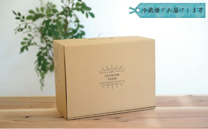 【2026年先行予約】 岡山 花笑み農園の『BKシードレス』家庭用2kg（3～6房） 2026年9月中旬～ 受付順に発送予定 【hana029-02】