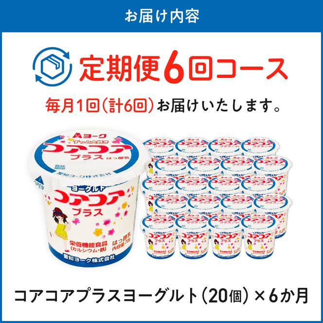 【6ヶ月定期便】愛知ヨーク　コアコアプラスヨーグルト　20個入［108A12-T］ヨーグルト コアコアプラスヨーグルト 20個入 愛知ヨーク定期便 カルシウム 鉄分 カップヨーグルト 朝食 スイーツ
