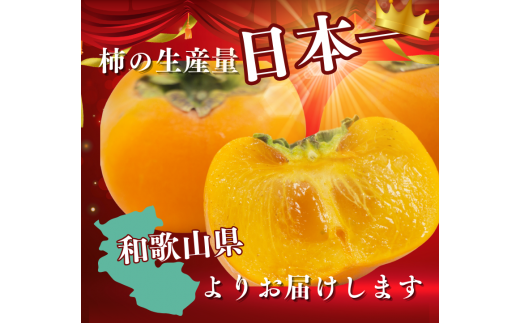  富有柿 秀品 約3kg※箱込み(8個～10個入り)  / 柿 カキ 甘い 美味しい 紀州和歌山産 ※2026年11月中旬～12月上旬に順次発送致します。【frt504-r-huyu-3】