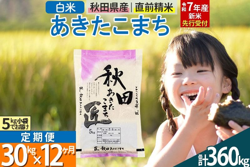 [白米][令和7年産 新米予約] [定期便12ヶ月]秋田県産 あきたこまち 30kg (5kg×6袋)×12回 30キロ お米 新米|02_snk-011012s
