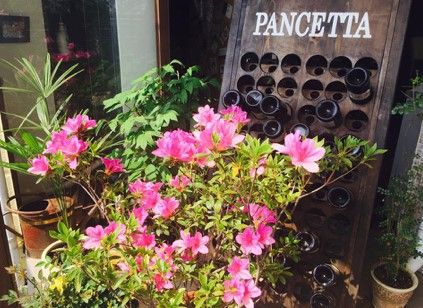 無添加 ドレッシング KAKISUCO  60ml×8本 セット 柿スコ あさくらの刺激 調味料 朝倉 柿ベース ※配送不可：離島 