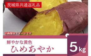 【先行予約】【11月より順次発送】2026年産 鮮やかな黄色のさつまいも ひめあやか5kg（茨城県共通返礼品・行方市産）【サツマイモ　芋　おいしい　甘い 大量 しっとり 焼き芋　てんぷら スイートポテト】(AK107)