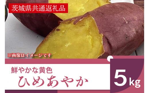 【先行予約】【11月より順次発送】2026年産 鮮やかな黄色のさつまいも ひめあやか5kg（茨城県共通返礼品・行方市産）【サツマイモ　芋　おいしい　甘い 大量 しっとり 焼き芋　てんぷら スイートポテト】(AK107)