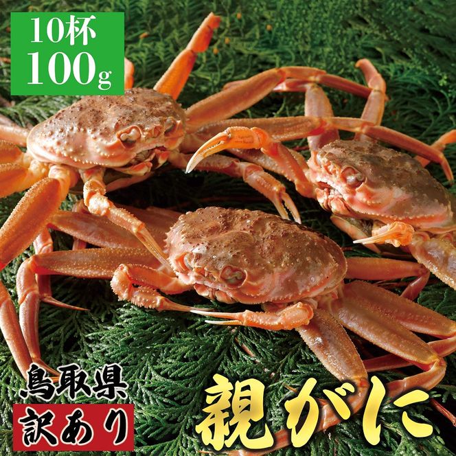 y挧khz1073.y2025N11z挧Y  e pyZRKjziȂ܁jy󂠂z100g 10t 313726_BS075