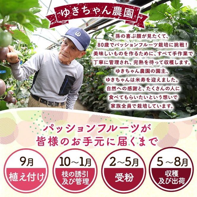 【0105302a】ゆきちゃん農園のパッションフルーツ(1.2kg以上) フルーツ 果物 果実 1キロ 期間限定【ゆきちゃん農園】