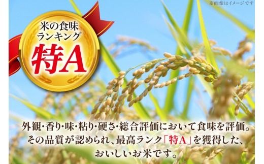 米 ななつぼし 令和8年 6回 定期便 JA新すながわ産 10kg×6回 総計60kg [ホクレン商事 北海道 砂川市 12260798] 令和8年産 定期 お米 コメ 白米 ごはん ご飯 国産 米 こめ kome おこめ