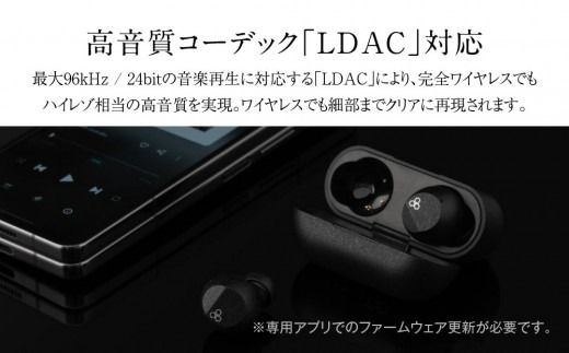 ANC完全ワイヤレスイヤホン final ZE3000 SV ZE3000後継機 /ノイズキャンセリング/ノイキャン/外音取り込み/マイク付き