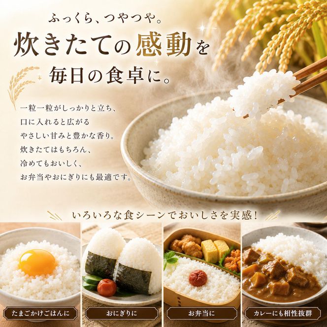 にじのきらめき 定期便 7回/10kg（5kg×2袋） 令和8年産 新米 ブランド米 白米 精米 【小分け】 宮城県大河原町産