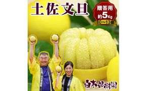【先行予約】【果樹園直送】土佐文旦 特選品贈答用 約5kg L～2Lサイズ 10～13個入り〈2027年2月中旬～3月中旬頃発送〉  /  ぶんたん ブンタン フルーツ 柑橘 みかん 果物 くだもの 柑橘類 デザート おやつ 高知県 土佐市【白木果樹園】 [BQAI006]