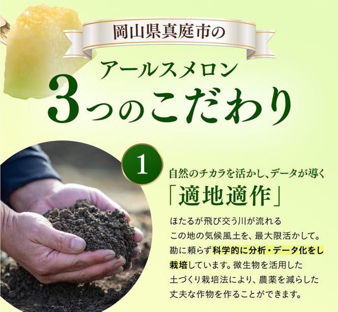【2026年先行予約】 岡山メロン アールスメロン1玉（1.5kg以上） ※7月末より順次発送 岡山県 真庭市 フルーツ 果物 高級 ギフト 贈答 ご家庭用 【mnem001-01】