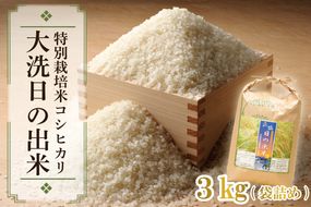 先行予約 新米 令和8年産米 3kg すぐ発送 すぐ届く 低農薬米 大洗 日の出米 コシヒカリ 精米 令和8年産 特別栽培米 コメ こめ 送料無料