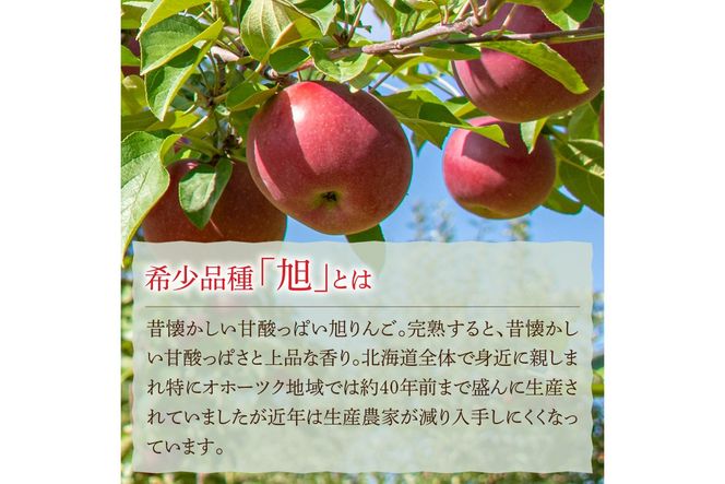 コンフィチュール3種とりんご酢2本 ( りんご コンフィチュール リンゴ酢 酢 フルーツ 果実酢 アイス ヨーグルト ドレッシング )【044-0012】