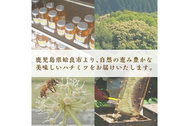 a686 国産！純粋はちみつ(600g)【神谷養蜂】