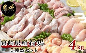 ■■■miyakonojo_AA-G302