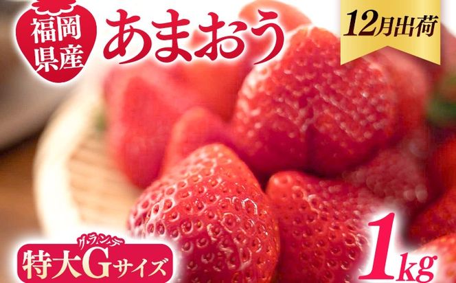 福岡県産 あまおう 1000g （250g×4パック） いちご 12月中発送 いちご 苺 フルーツ 果物 くだもの 大粒Gサイズ グランデ 農家直送 大粒 不揃い 福岡県 福岡 九州 グルメ お取り寄せ