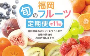 【定期便/年11回】JAむなかた厳選！旬のフルーツ定期便【JAほたるの里】_HB0171