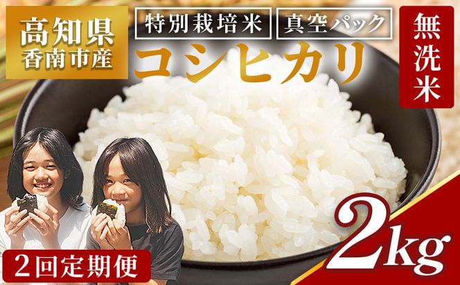 令和8年産 コシヒカリ 定期便【２回定期便】高知県香南市産 特別栽培米 コシヒカリ ２ｋｇ Wnu-0006