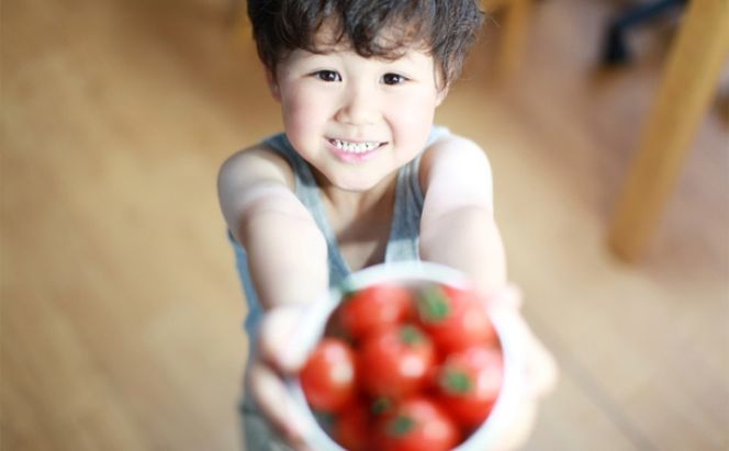 【12ヶ月定期便】機能性表示食品 Hapitoma ハピトマ 訳あり（1.8kg）【配送不可：北海道・沖縄・離島】健康 ヘルシー 人気 厳選  野菜 緑黄色野菜 産地直送 ダブル成分 GABA リコピン トマト 国産 静岡県産 袋井市産 食材 