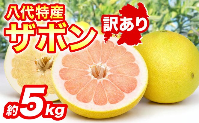【先行予約】 【訳あり】 八代ザボン (赤肉または白肉) 約5kg (3～6玉)  果物 くだもの 果汁 柑橘 おやつ フルーツ デザート 熊本県 八代市 【2026年11月上旬より順次発送】