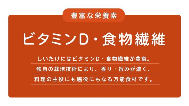 ＼選べる 内容量／ 産地直送！軸まで美味しい『軸王しいたけ』特大サイズ (約500g/約1kg) しいたけ 椎茸 シイタケ きのこ キノコ 野菜 軸が太い 軸まで食べられる 特大 肉厚 旨味 菌床 国産 ぷりぷり ステーキ 椎茸ステーキ 新鮮 BBQ バーベキュー バター焼き 網焼き きんぴら オイル漬け