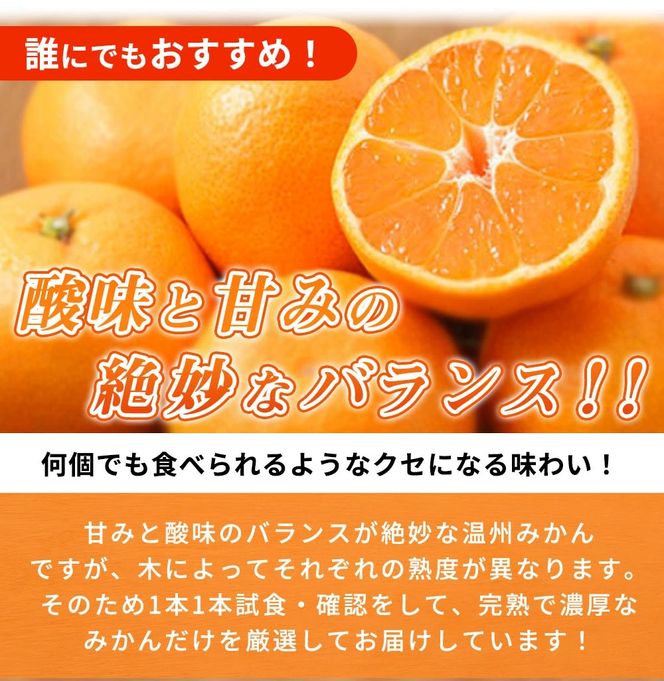 G7343_【2026年11月下旬より発送】秀品 有田みかん 2kg 2S～Lサイズのいずれか