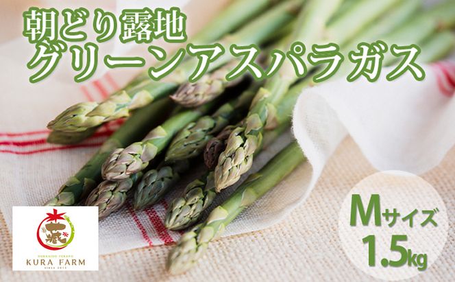 【2026年5月より発送】北海道 富良野市産 アスパラ 緑 約1.5kg 朝どり 露地 グリーン アスパラガス 詰め合わせ 野菜 新鮮 数量限定 先着順【藏ファーム】