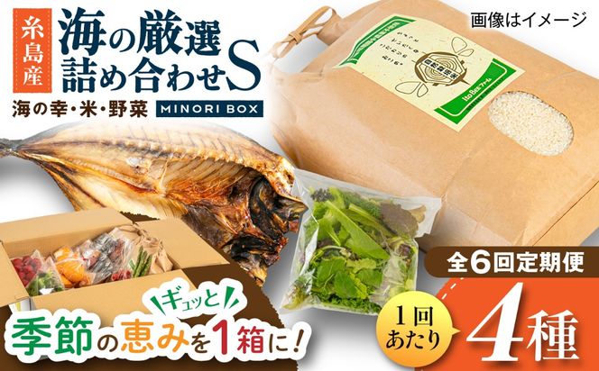 【全6回定期便】糸島産 魚 米 野菜 果物 厳選詰め合わせ MINORI BOX Sサイズ 糸島市 / emma.Inc / 米 魚 野菜 詰め合わせ[AOP021]