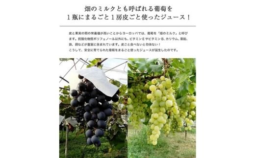 幸田町産ぶどう使用（無添加、無糖、無加水）100％ジュース 多種類 6本詰め合わせ 180ml×6本 合計1080ml ｜ ぶどうジュース 葡萄ジュース 巨峰 デラウェア 甲斐路 ベリーA セミヨン ナイアガラ アレキサンドリア コンコード 種ぶどう 愛知県 幸田町