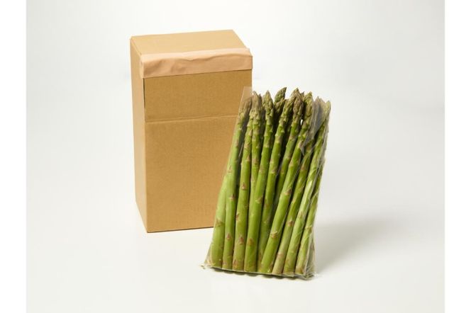  ns092-001 那須高原アスパラガス