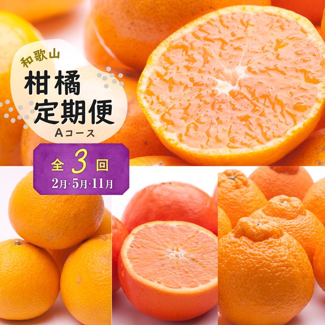 季節の柑橘定期便A【全3回】【和歌山県有田】_ZH7021