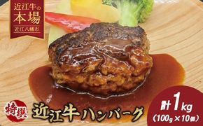近江牛特選ハンバーグ1kg（100g×10個）【H019W】（滋賀県　近江八幡市）
