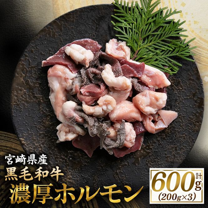 【食べログ百名店】倉薗牧場 国産黒毛和牛ミックスホルモン 200g×3P（牛肉 黒毛和牛 和牛 ホルモン 焼肉 BBQ 人気）