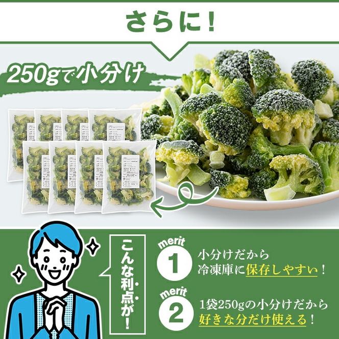 鹿児島県産冷凍ブロッコリー(合計2kg・約250g×8袋) 大容量 国産 野菜 冷凍 冷凍野菜 小分け【合同会社グッドフィールド】akn056-10