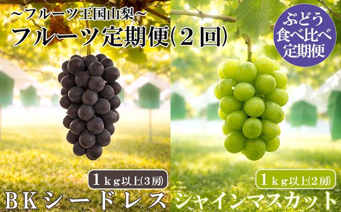 【フルーツ（ぶどう）定期便《秀品以上》】シャインマスカット（１kg以上・２房）＋ ＢＫシードレス（１kg以上・３房）　【2026年発送分 先行予約】- FUJIKAWA GRAPES -